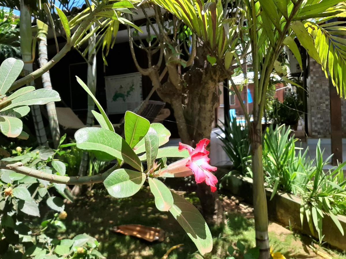 Pousada Das Flores Фернанду-де-Нороння Екстер'єр фото